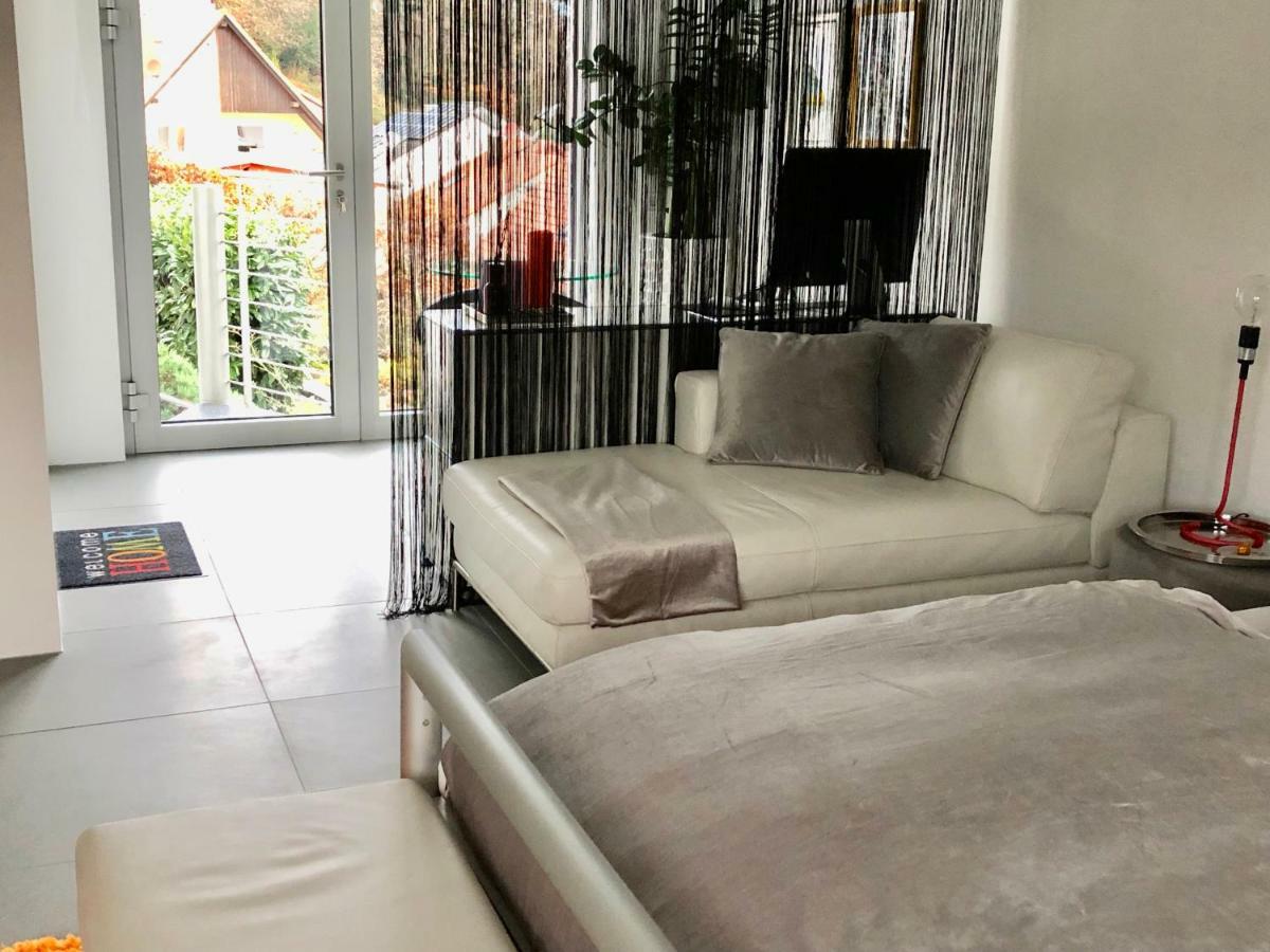 Modernes Studio Auf Der Sonnenterrasse Baden-Baden Exteriér fotografie